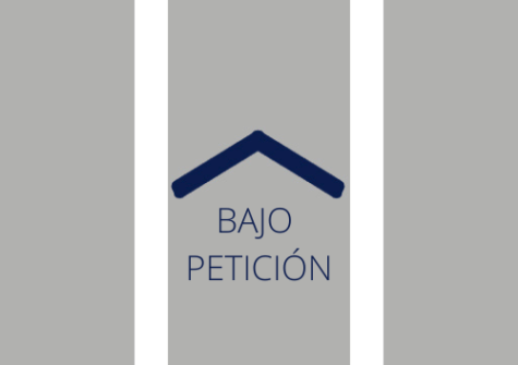 APARTAMENTO PLAYA ONDARRETA